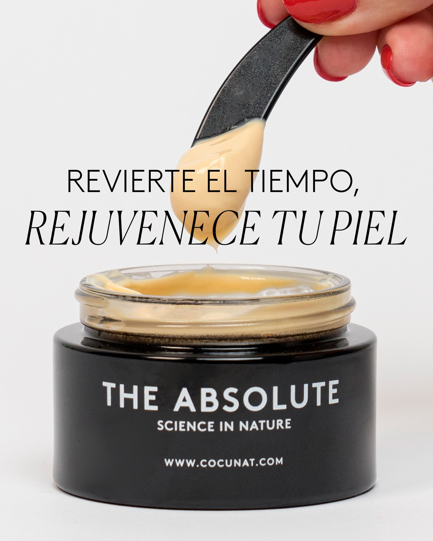 The Absolute